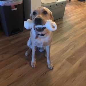 Meet your Posher, Robert